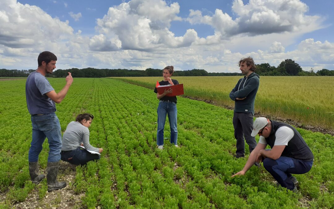 Two Years of Lentil Trials: Progress, Challenges, and Future Plans in CICS #10