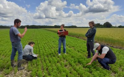Two Years of Lentil Trials: Progress, Challenges, and Future Plans in CICS #10