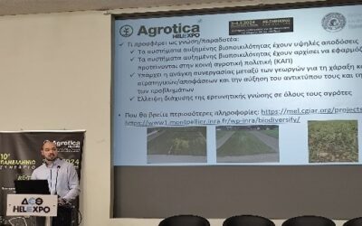 Faculty of Agriculture at Aristotle University of Thessaloniki: A look back at 2024