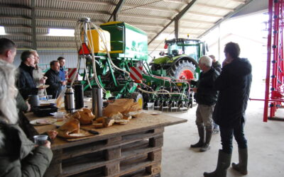 Lock-ins in Denmark are a barrier to intercropping practices and food system innovation