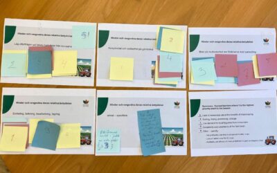 Overcoming adoption barriers to intercropping: insights from Co-innovation Case Study #2 (Sweden)