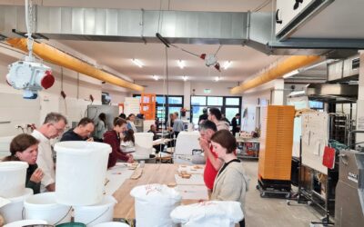 Intercropping wheat and pea for improved baking quality: more diversity from the field to the bread basket (Germany)