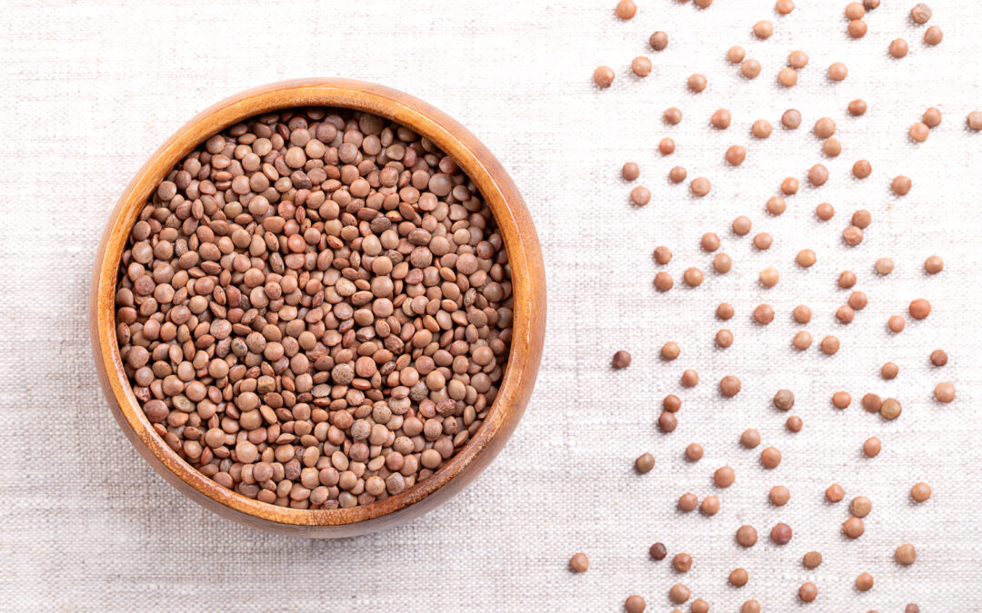 Lentillons from Champagne: intercropping tradition with cereals in France