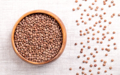 Lentillons from Champagne: intercropping tradition with cereals in France