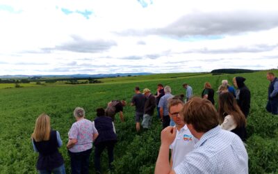 IntercropVALUES Takes Centre Stage at Scottish Farm Advisory Service Event
