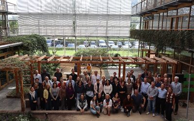 IntercropVALUES partners reflect on results and plan for intercropping’s legacy